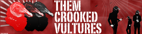  Them Crooked Vultures