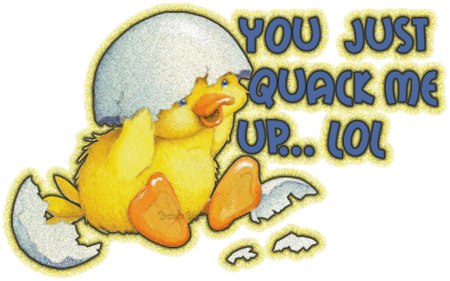 You Quack Me Up !