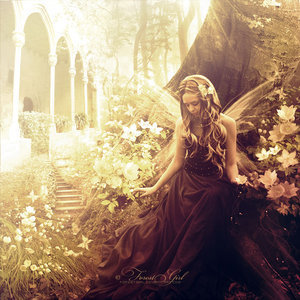 fairies ;)