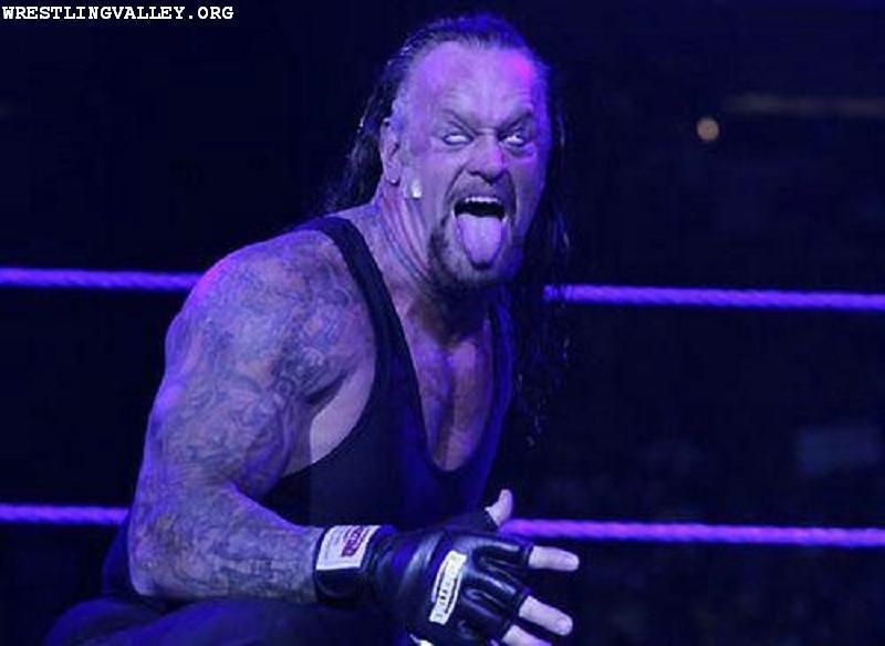 undertaker - WWE Photo (12299534) - Fanpop