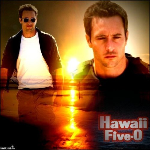 Hawaii Five-O 팬 Art