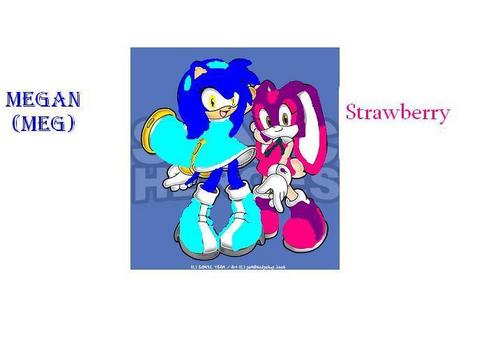 Megan the hedgehog and Strawberry the bunny