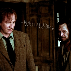  Sirius and Remus - A Tiny World is Ending.