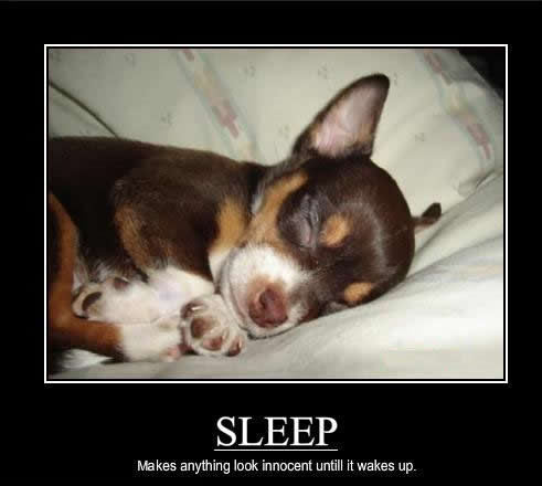  Sleeping trouble...LOL !!