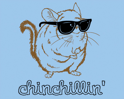  chinchillin