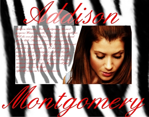  Addison Montgomery