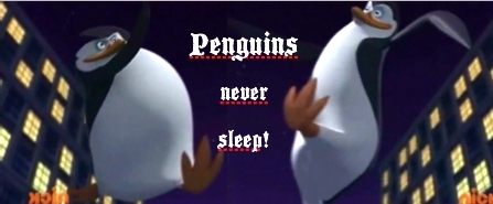  Penguins Never Sleep!