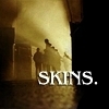  Skins