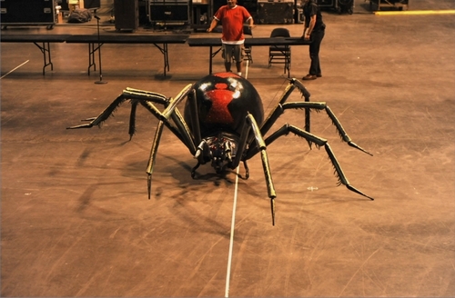  This Is It spider.
