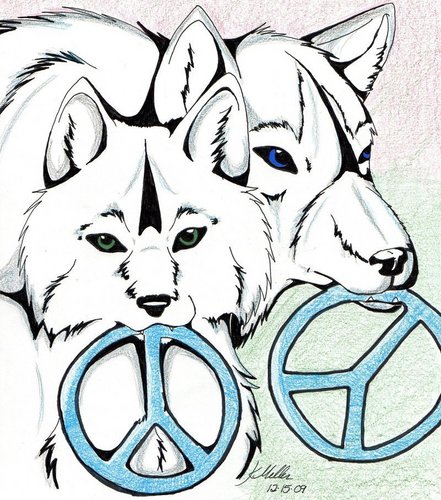  Wolf_Peace