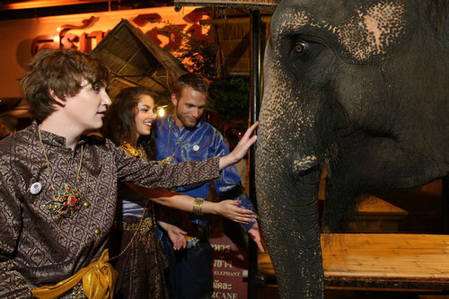 kyle & an elephant 