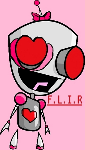  F.L.I.R.