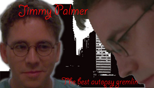  Jimmy Palmer banner