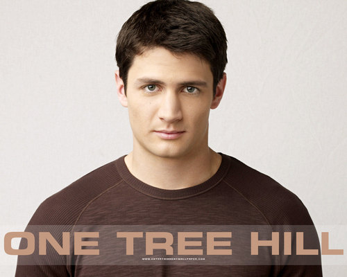  One pohon bukit, hill <3