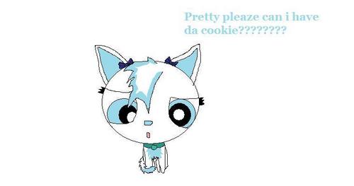  Snowbell want's a cookie