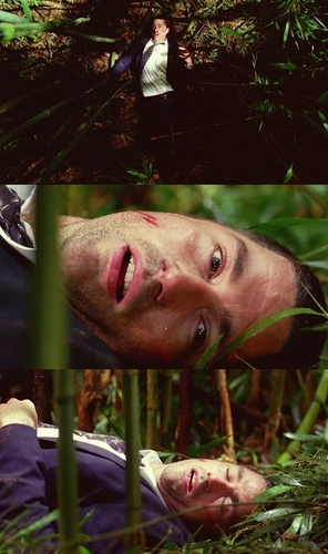 LOST: Opening and Final Scenes Comparison