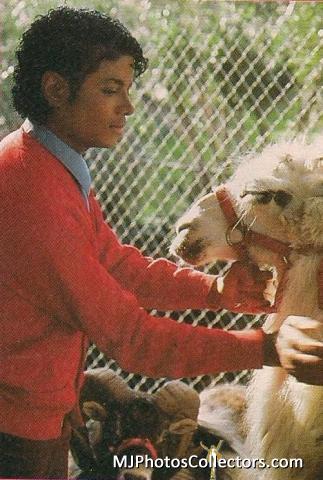  MJ with pets