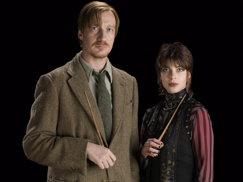 tonks & Lupin in HBP [HQ]