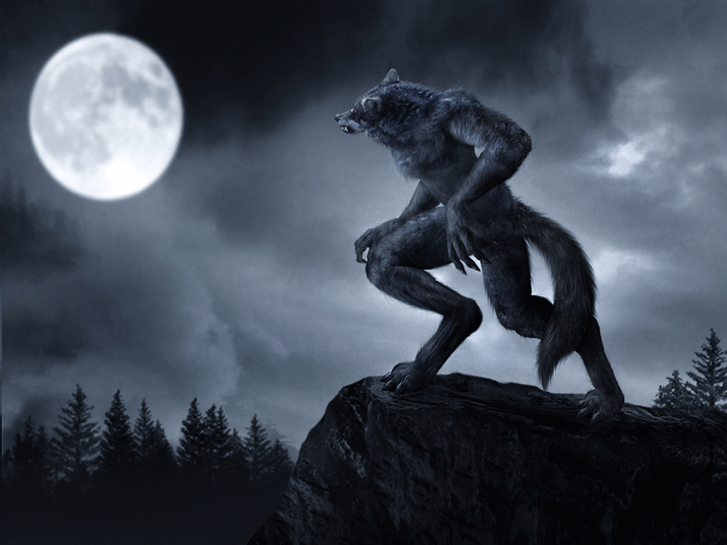 Werewolf - Werewolves Photo (12640996) - Fanpop