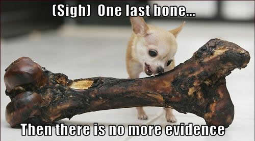  (Sigh) One last bone… Then there is no più evidence