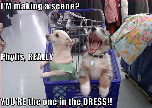  I’M making a scene? Phylis, REALLY YOU’RE the one in the DRESS!!