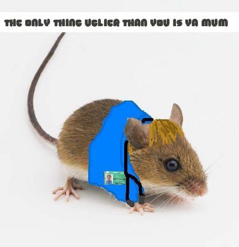  Rory мышь