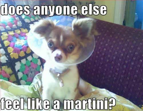 does anyone else feel like a martini?