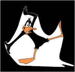  Daffy anatra