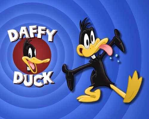  Daffy canard