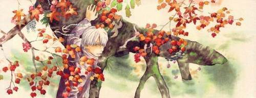  Ginko and the Blossoms