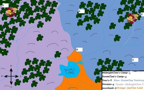 Heres a colored Glimpse of MidnightClans Territory!