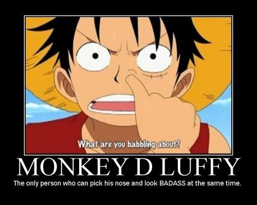  Luffy