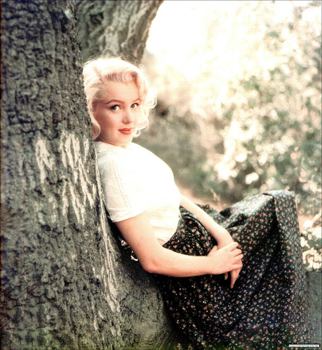 marilyn monroe - Marilyn Monroe Photo (33378558) - Fanpop