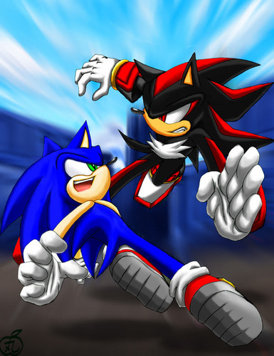  Sonic VS Shadow