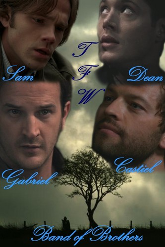  Team Free Will - Band of Brothers