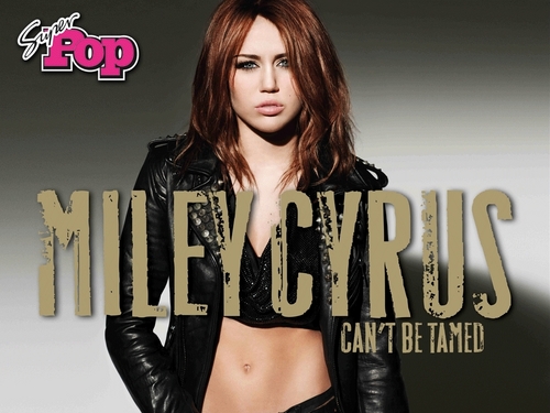  can't be tamed kertas dinding miley cyrus (super pop)