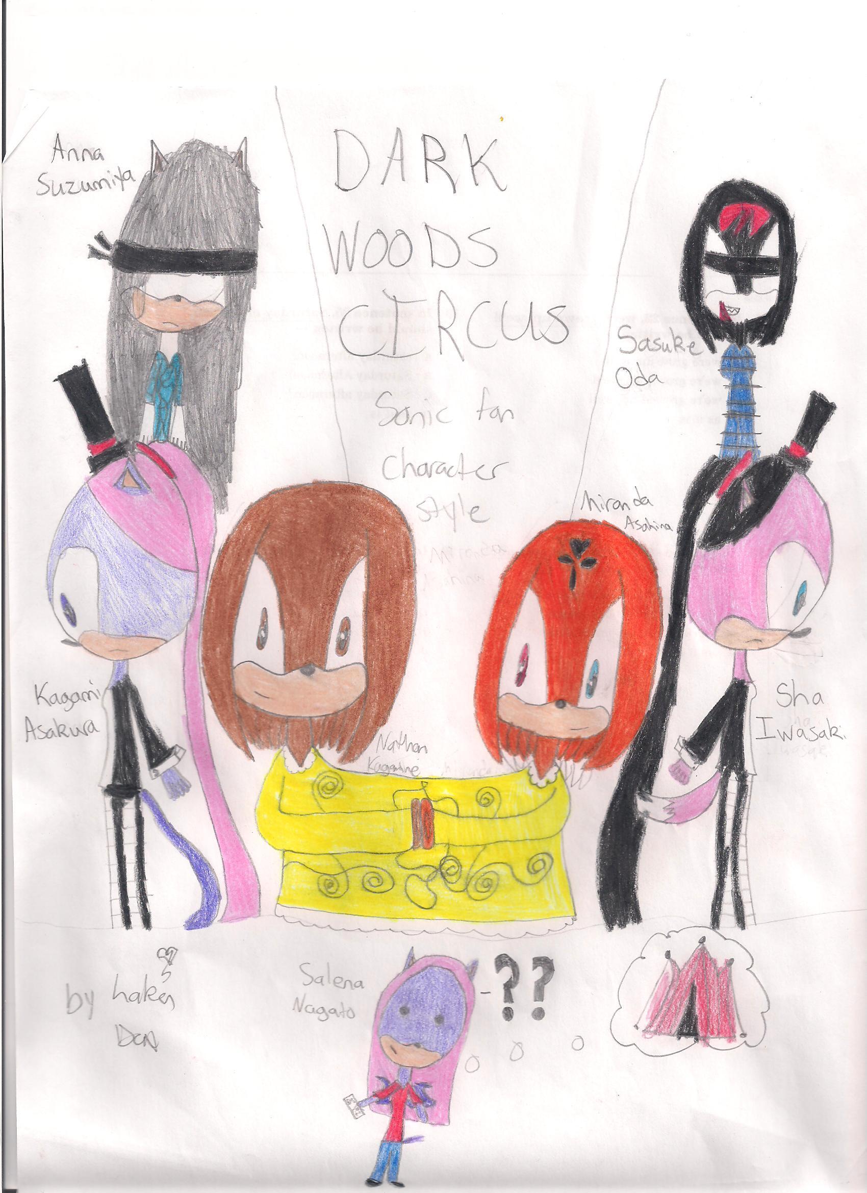 Dark Woods Circus (Sonic Style)