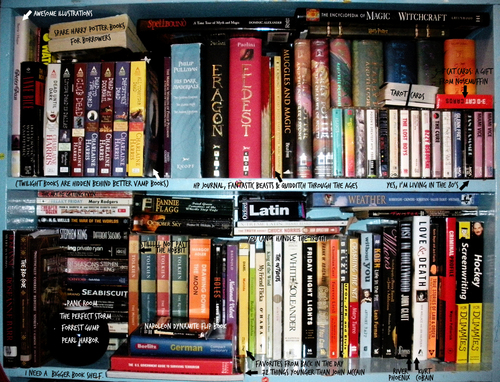  Dasm's Book Shelf - 2010