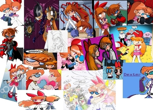  dexter and Blossom collage