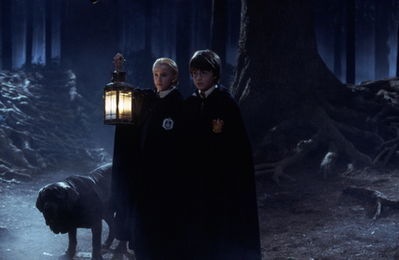  Filem & TV > Harry Potter & the Philosophers Stone (2001) > Promotional Stills