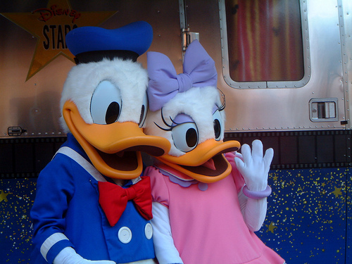  donald duck& madeliefje, daisy