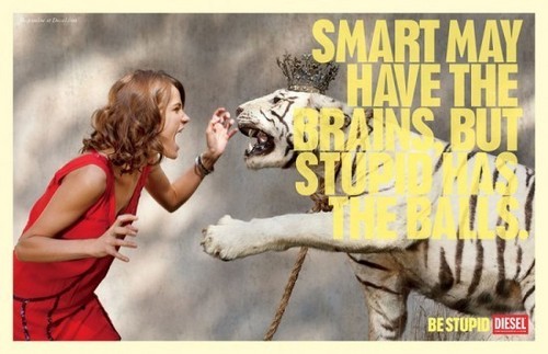  Be stupid...
