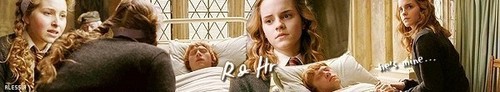  Ron-Lavender-Hermione