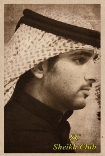  Sheikh Hamdan bin Mohammed bin Rashid al Maktoum