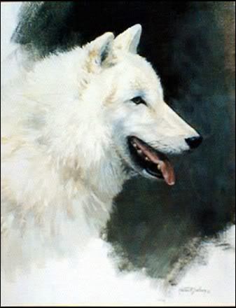  White wolf