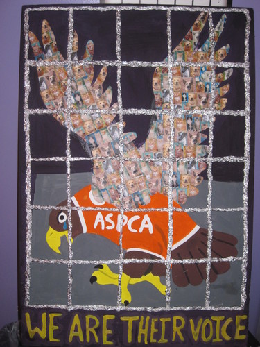  ASPCA eagle
