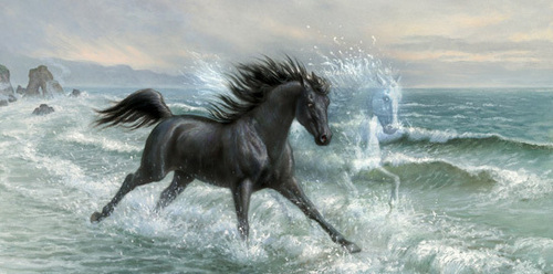  Black Stallion Painting