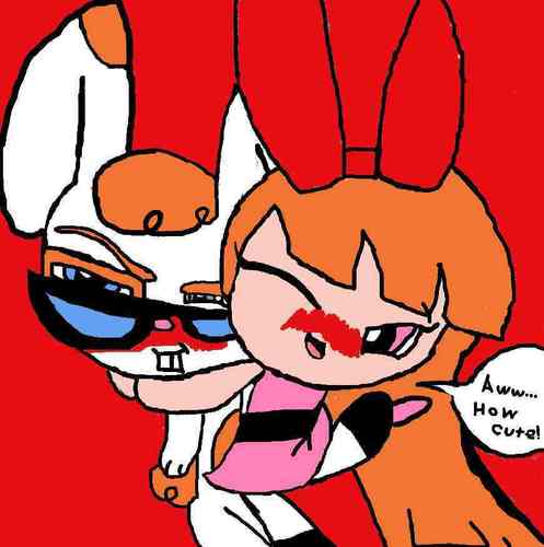  Dexter the Bunny 1