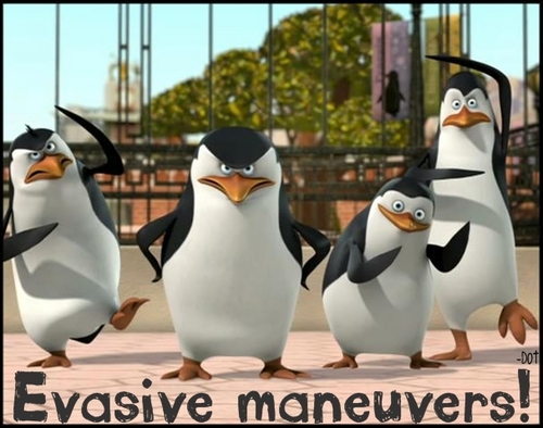  Evasive Manuvers!