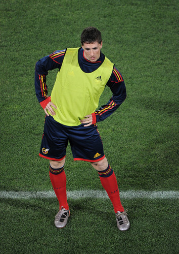  Fernando Torres - June 20 - Spain Training